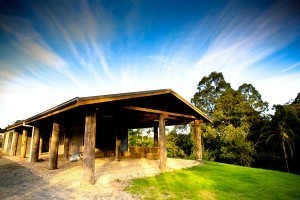 Australian College of Eastern Medicine Pic 5 - Located just 35km from the centre of Bellingen at 165 Hydes Creek Road Bellingen