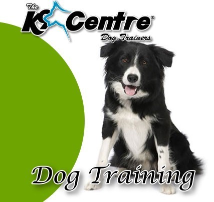 The K9 Centre Pic 1 - Dog Training