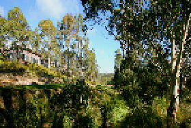 Craggy Peaks Tasmania Pic 1 - Craggy Peaks Tasmania exterior of cabins