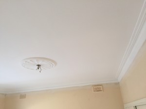 B.M Plastering Pic 5