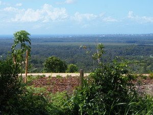 Sunshine Coast Haematology and Oncology Clinic Pic 5 - View