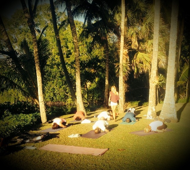 Hartig Yoga Pic 1 - Palm Cove Yoga Class