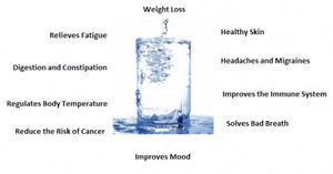 Healthy Naturals Pic 3 - 10 health benefits of drinking water