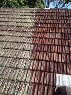 Express Exterior Pressure Cleaning Pic 5 - Roof Before and After