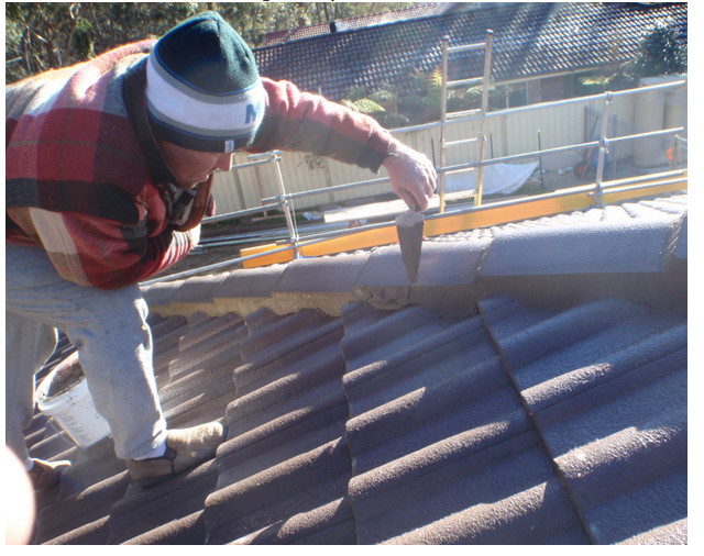 Blue Mountains Roofing Pic 2