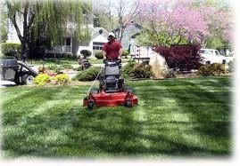 All About Lawn Mowing Pic 1 - Lawn Mowing