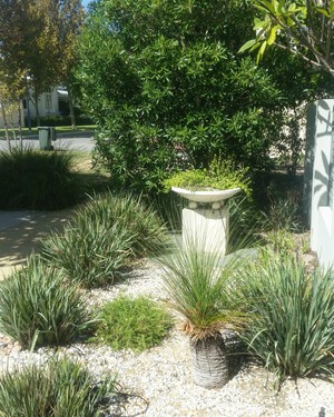 Nedlands Garden Service Pic 2