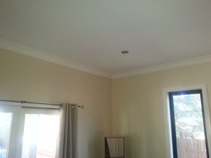 All Strokes Painting Services Pty Ltd Pic 5 - Customers new extension