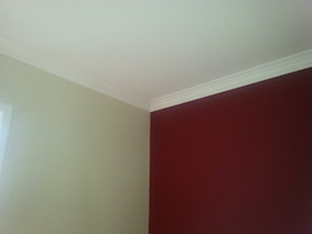 All Strokes Painting Services Pty Ltd Pic 3 - Where East and West meets North with Dulux