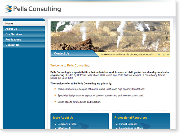 MT Design Pic 1 - pells consulting clean simple and informative website to service existing clients