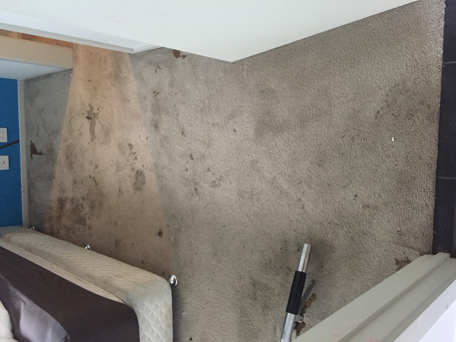 Adelaide & Hills Carpet Cleaning Pic 1 - Before