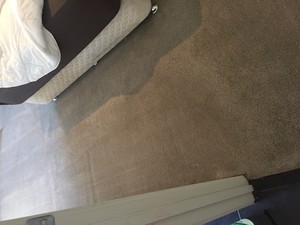 Adelaide & Hills Carpet Cleaning Pic 4 - After