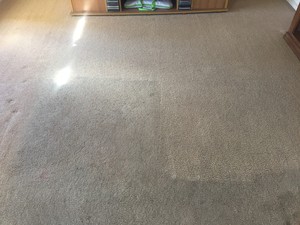 Adelaide & Hills Carpet Cleaning Pic 5 - Before After