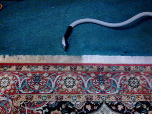 Chem-Dry Action Pic 2 - Oriental rug cleaning of fringes