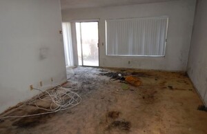 Carpet Cleaning Henley Beach Pic 2