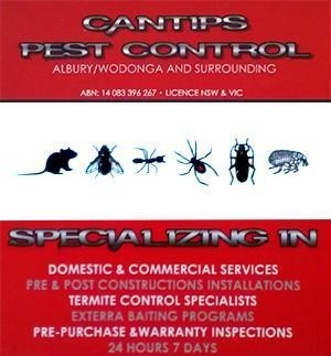 Cantips Pest Control Pic 2