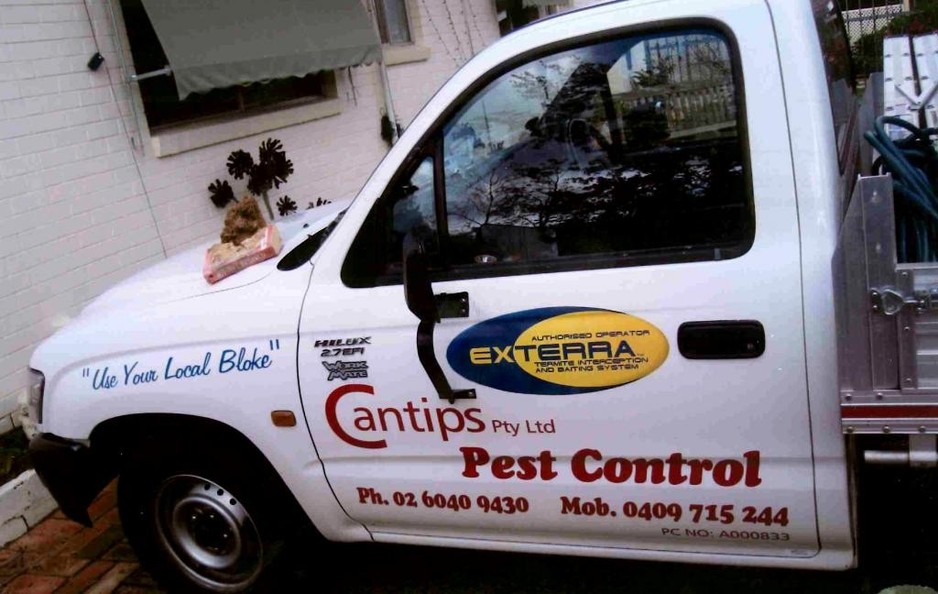 Cantips Pest Control Pic 1