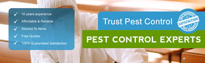 Trust Pest Control Melbourne Pic 5