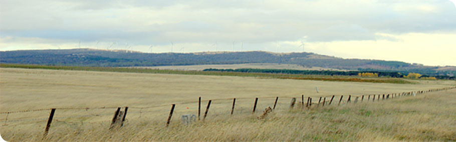 Bungendore Rural Services Pic 1