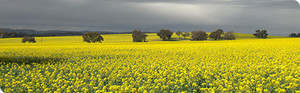 Bungendore Rural Services Pic 2