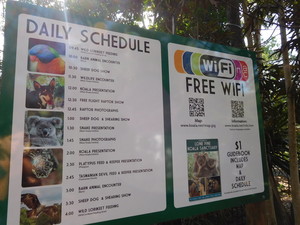 Lone Pine Koala Sanctuary Pic 4