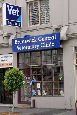 Brunswick Central Veterinary Clinic Pic 1 - Welcome to our clinic