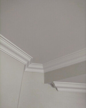 Sovereign Ceilings Pic 2