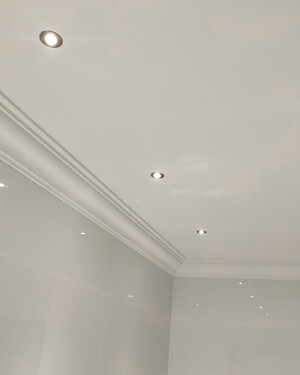 Sovereign Ceilings Pic 3