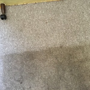 James Carpet Cleaning and Pest Control Pic 3 - Half cleaned carpet