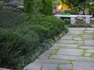 Sydney Designer Concrete Pic 3 - Concrete Driveway