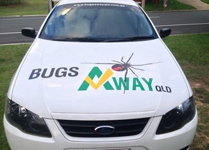 Bugs Away Qld Pic 2