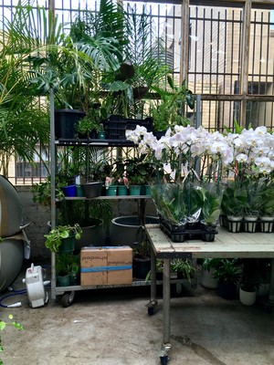 glasshaus nursery design florist Pic 4