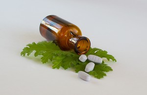 The Gut Clinic Pic 4 - Using medicinal herbs and nutrition to heal unhappy and irritable guts