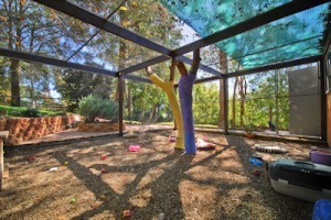 Cat in the Hat Pic 4 - Our very own outdoor enclosed play land