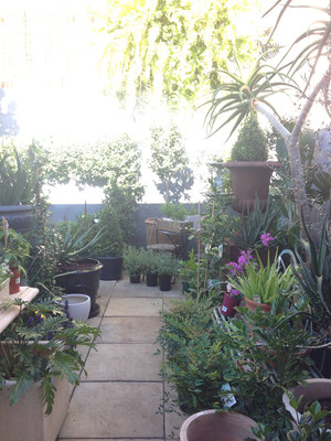 D. I. G. Design Interior Garden Pic 3