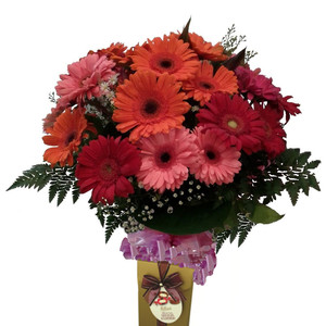 Wild Rose Florist Pic 3 - Bright Tasty WRF33 Large colourful bouquet with 20 beautiful Bright Gerberas leather fern selected foliage plus a box of Tasty Ernest Hillier assort chocolates 125g