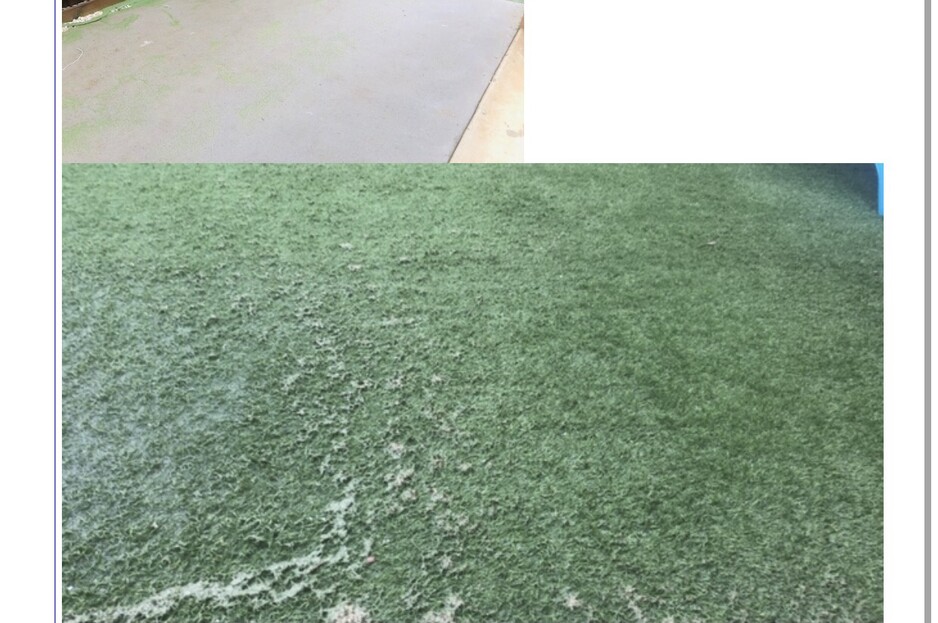 Star Turf Pic 1 - Poor Quality of artificial Turf provided with no care to resolve the matter or refund the money