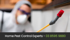 Eco Pest Control Melbourne Pic 2