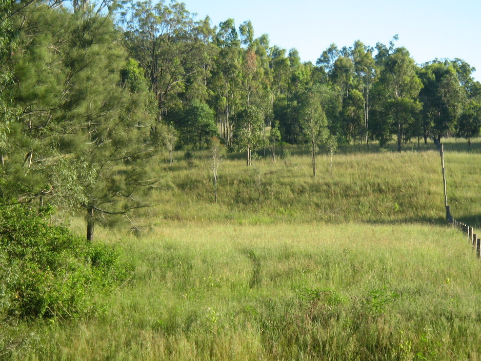 Woolooga Park Horse Spelling and Agistment Pic 1