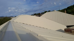 Alloy Roofing Pic 2