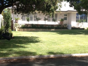 West Coast Lawn Lords Pic 2