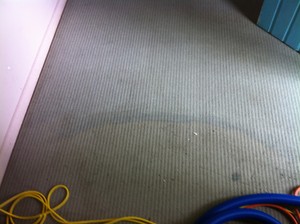 Infinity Carpet Cleaning Pic 3