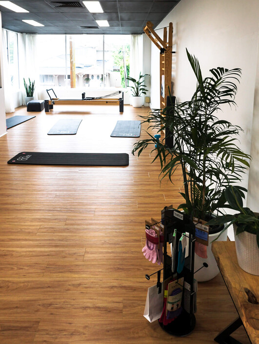 Your Body - Physio & Pilates Pic 1 - Beautiful Pilates Space