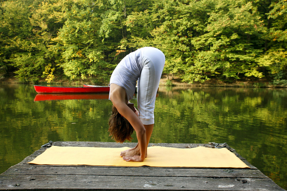 Yoga Satsang Pic 1