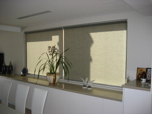 Blind Options Pic 5 - Translucent Roller Blinds