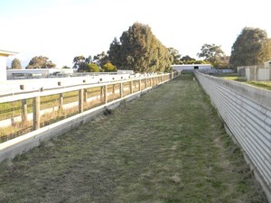 Eliza Park Kennels Pic 3