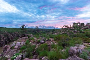 Tammi Atareta Photography Pic 3 - Katherine Gorge