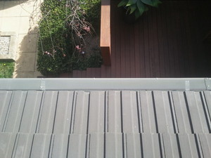 Gutter Guard Pic 2