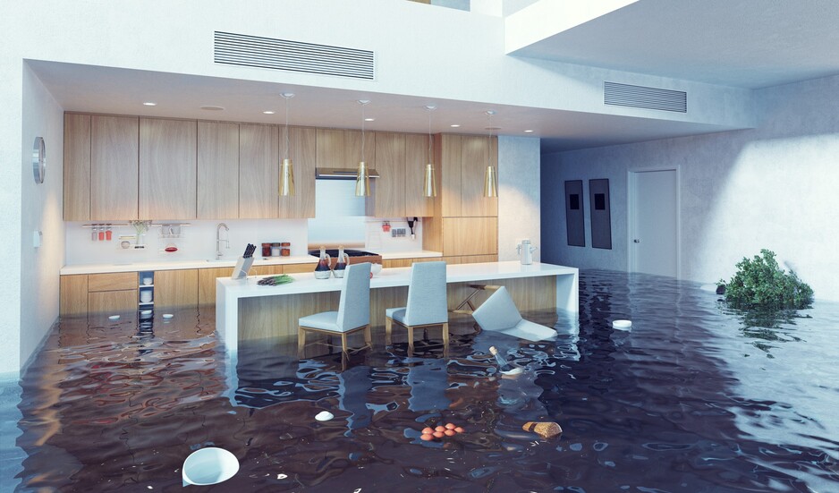 Flood Services Gold Coast Pic 1