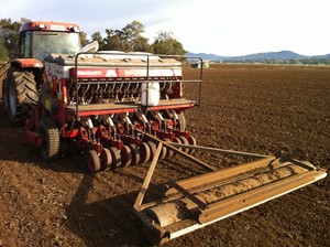 Lucerne Hay By Mark & Sue Stass Pic 4 - sowing lucerne